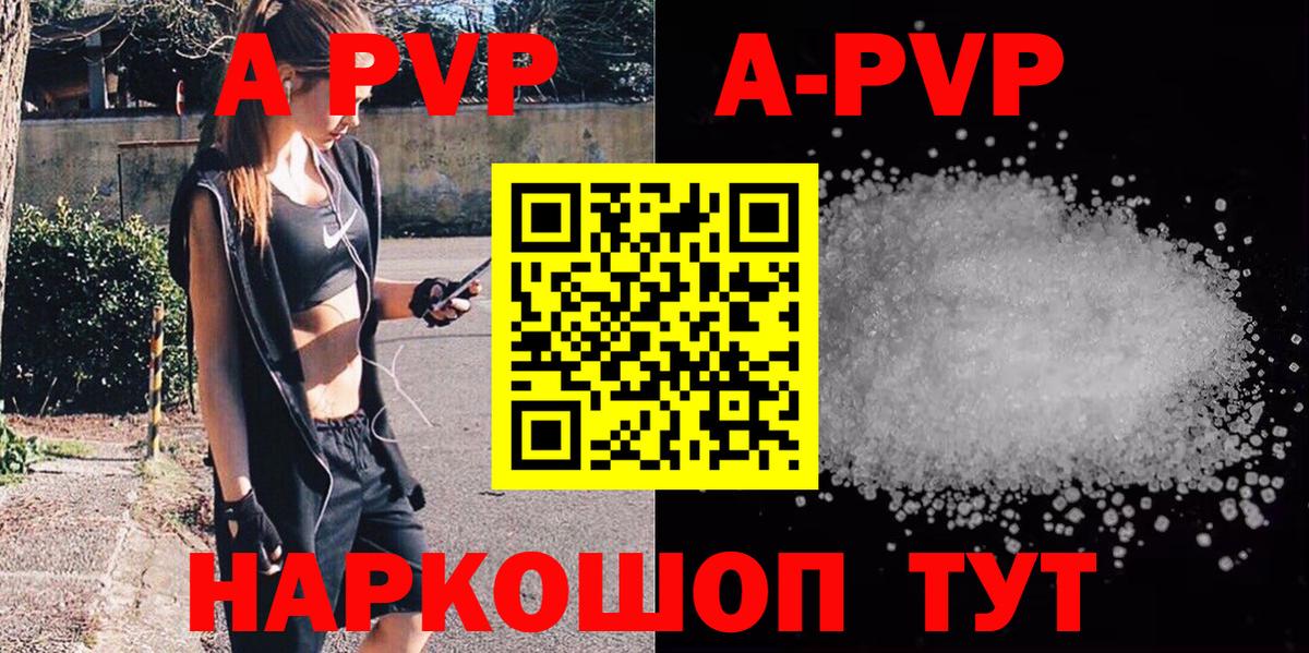 A PVP СК Вологда